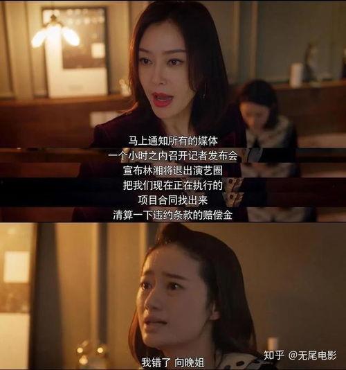 秦岚吃瓜娱乐圈